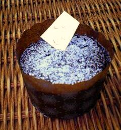 �R�R�y���C�̃K�g�[�V���R��